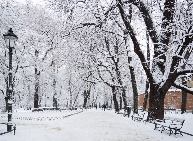 Zaśnieżona aleja parkowa otoczona drzewami pokrytymi śniegiem, w tle widoczni spacerowicze.