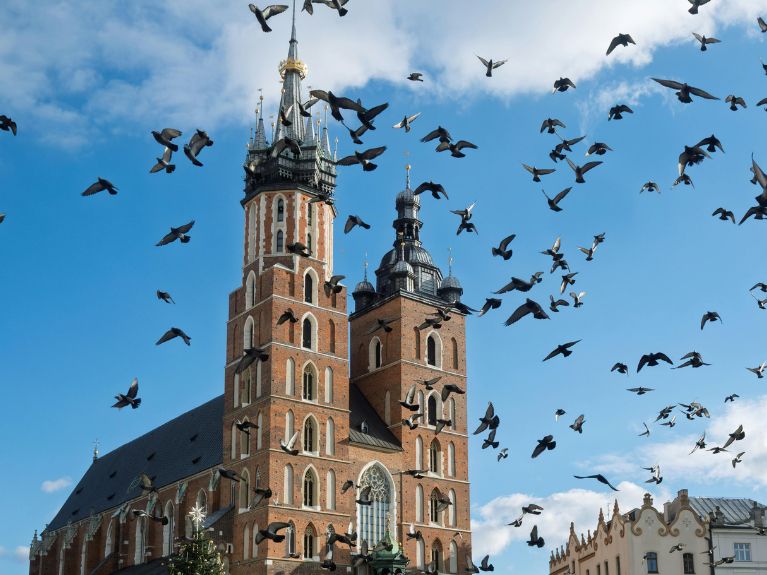 A large flock of pigeons flies in front of a historic brick church in Cracow with two tall towers, set against a blue sky with some clouds. The building appears gothic with arched windows and ornate details.